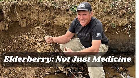 Will Elderberry Live Stakes Stop Erosion After Hurricane Helene?