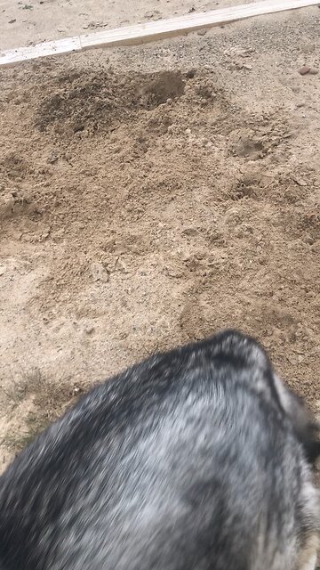 Saturday April 3, why are you living in luxurious houses while my house lives in ruins?