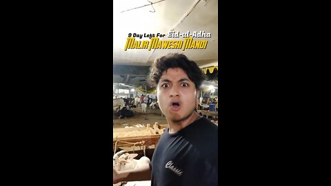 9 Days Left For Eid-ul-Adha | Malir Maweshi Mandi 2025