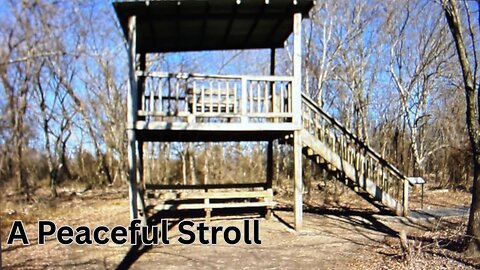 Lookout Towers at Bernice State Park
