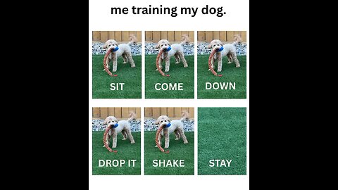 “When Life Gives You Funny Mood | Ultimate Meme Shorts” #FunnyMemes #MemeShorts #ViralVideo