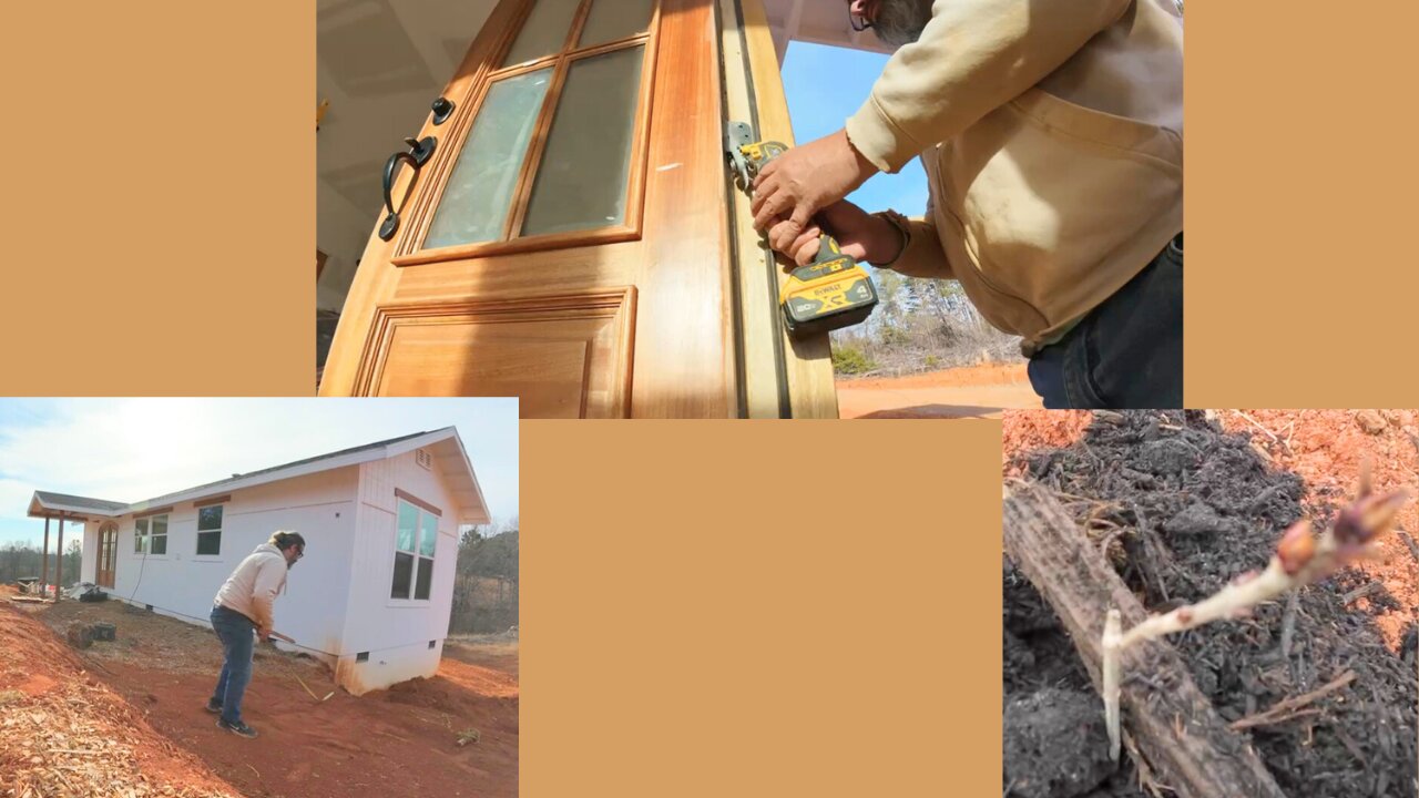 Door Hinge, Grading, Feeding Trees