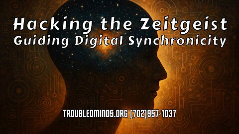 Hacking the Zeitgeist - Guiding Digital Synchronicity