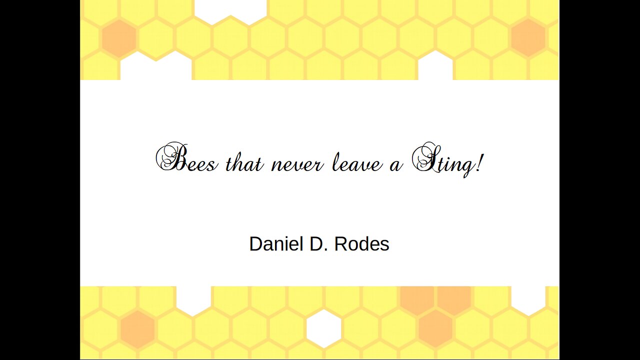 Bees that never leave a Sting - June 4