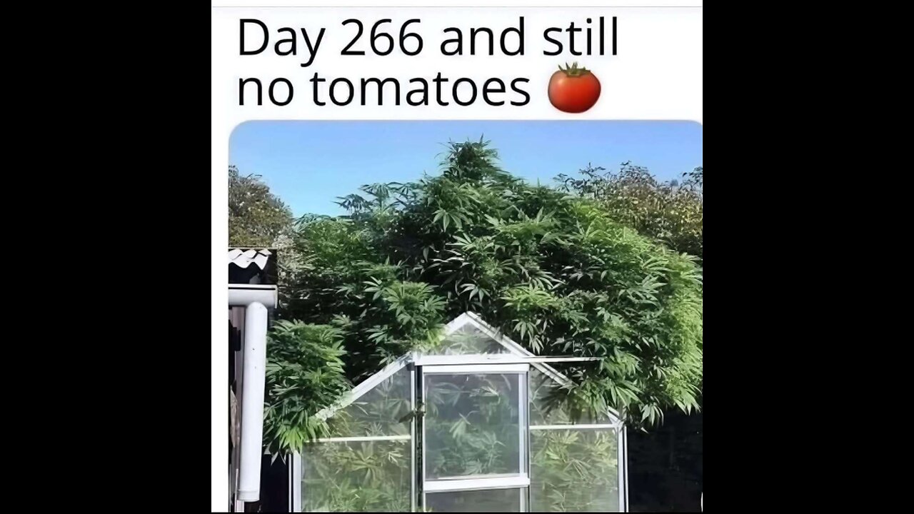 Wake N Bake! 4-23-25