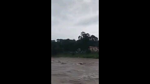 satisfying Video
