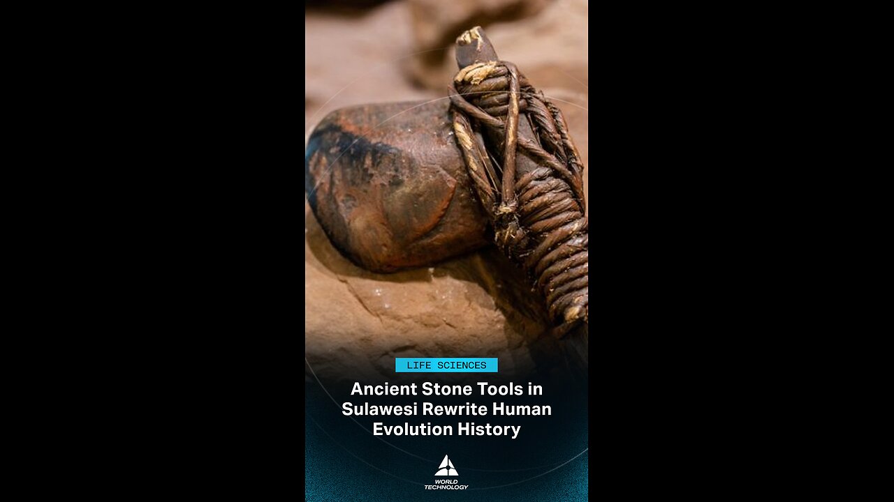 Over 1 Million Year Old Tools Found in Sulawesi Rewrite Human History #Archaeology #HumanOrigins