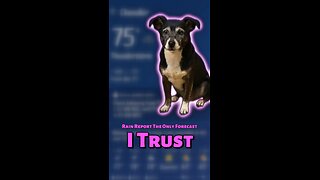 Rain Report: The Only Forecast I Trust