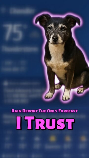 Rain Report: The Only Forecast I Trust