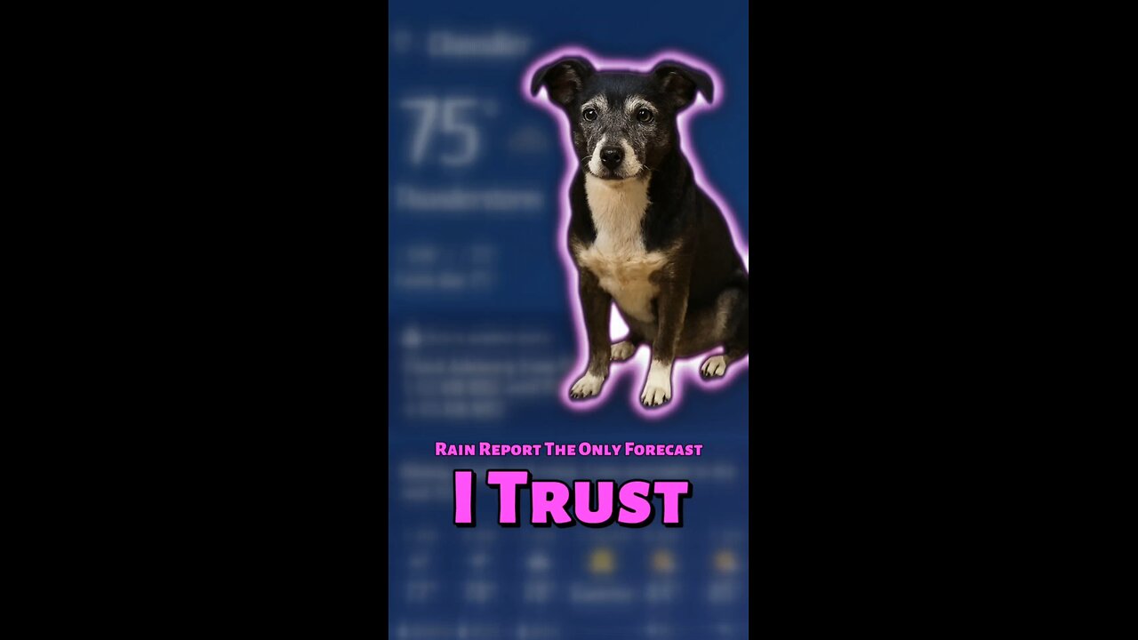 Rain Report: The Only Forecast I Trust