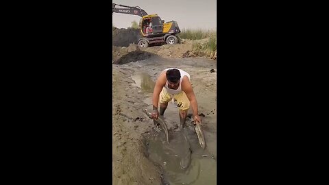 fishing 🐠🐠🐟🐳🐋🐬🦈