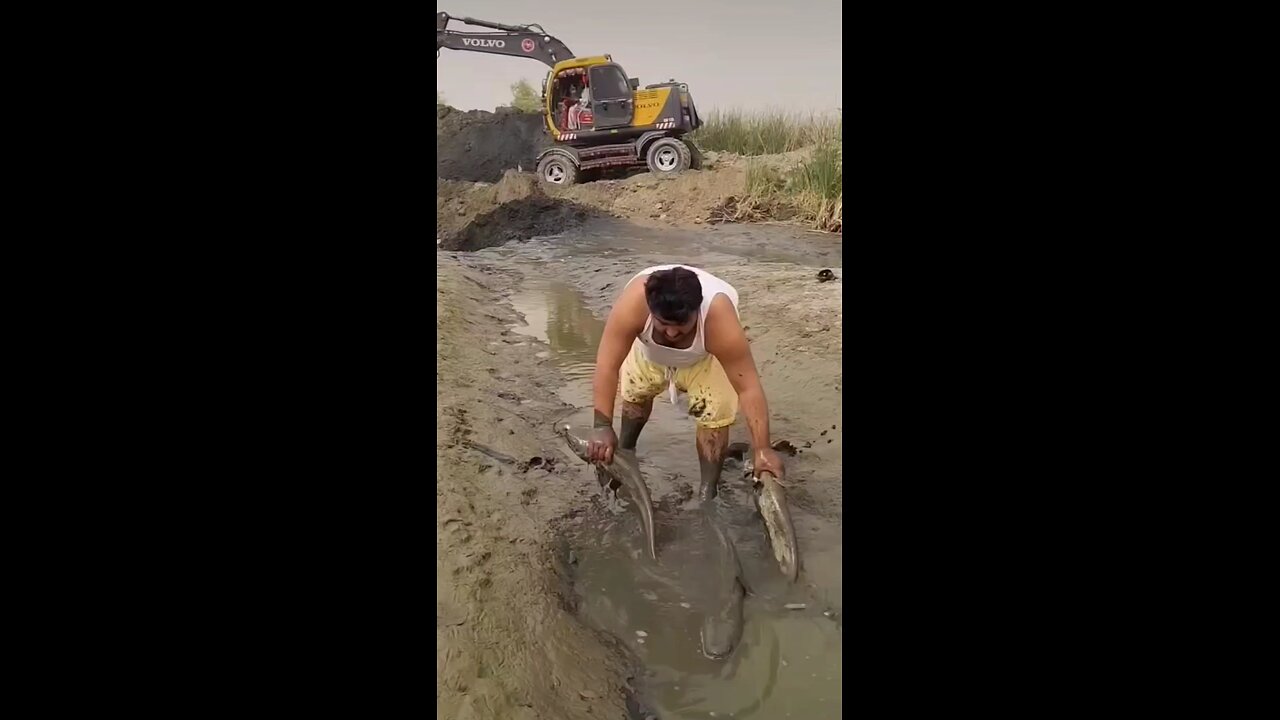 fishing 🐠🐠🐟🐳🐋🐬🦈