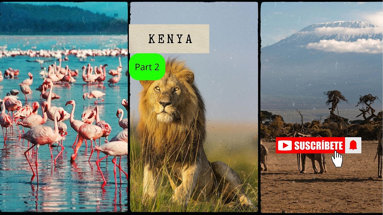 Discover Kenya: A Journey Through Nature, History & Traditions