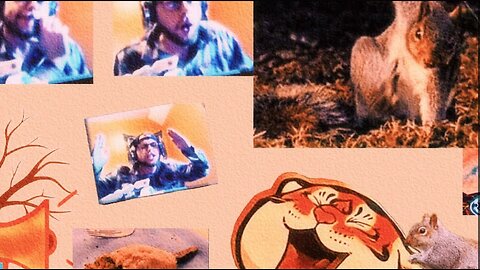 Release the inner tiger!!!!