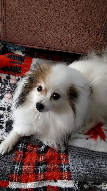 Being a good girl for daddy