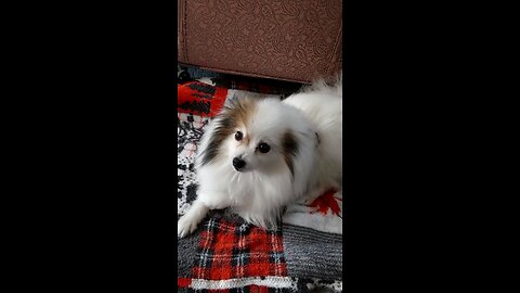 Being a good girl for daddy