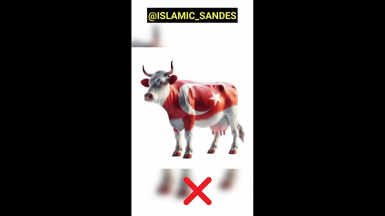 ISLAMIC SANDESH 🕋 Best Edit For Muslims 🕋❤️ #shorts #shortsfeed #subhanallah #allah #quran #for