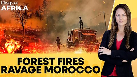 Morocco Forest Fires: 8 Aircraft Deployed, Blazes In Chefchaouen Controlled | Firstpost Africa |N18G
