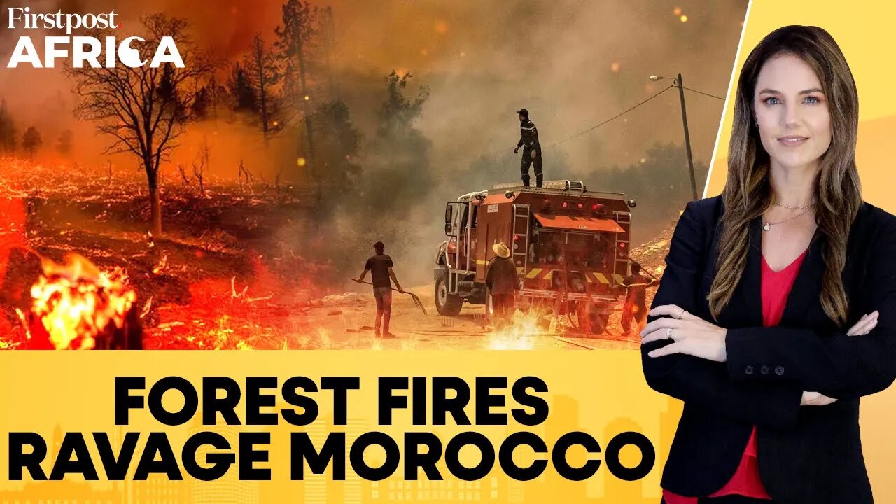 Morocco Forest Fires: 8 Aircraft Deployed, Blazes In Chefchaouen Controlled | Firstpost Africa |N18G