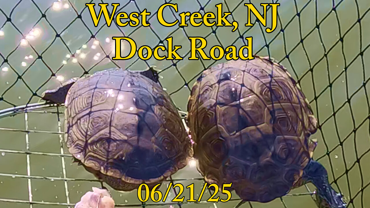 Return to West Creek - Crabbing