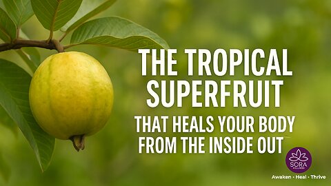 Why Guava Deserves a Spot in Your Diet