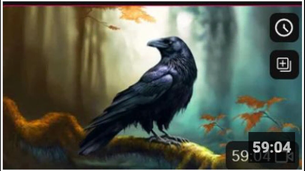 "Max Igan Discusses Morality as the Right Path on Croatian National TV, 280424"