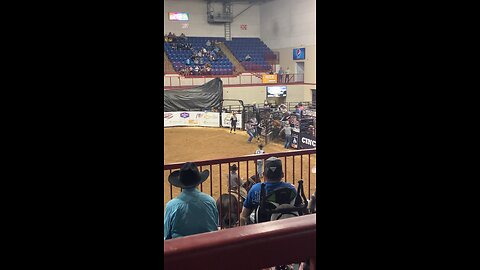 Bareback Bronc Ride