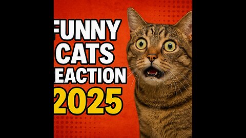 Top 10 funniest cats reaction videos 2025 😂