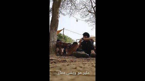 When I Be Free With My Cattle Bull