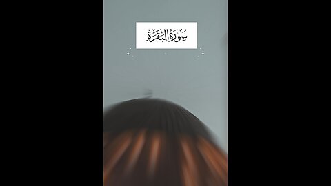 Follow if you love Allah / Surah Al Baqarah Ayat 48 #quran #islam #islamicreminders #viralvideos