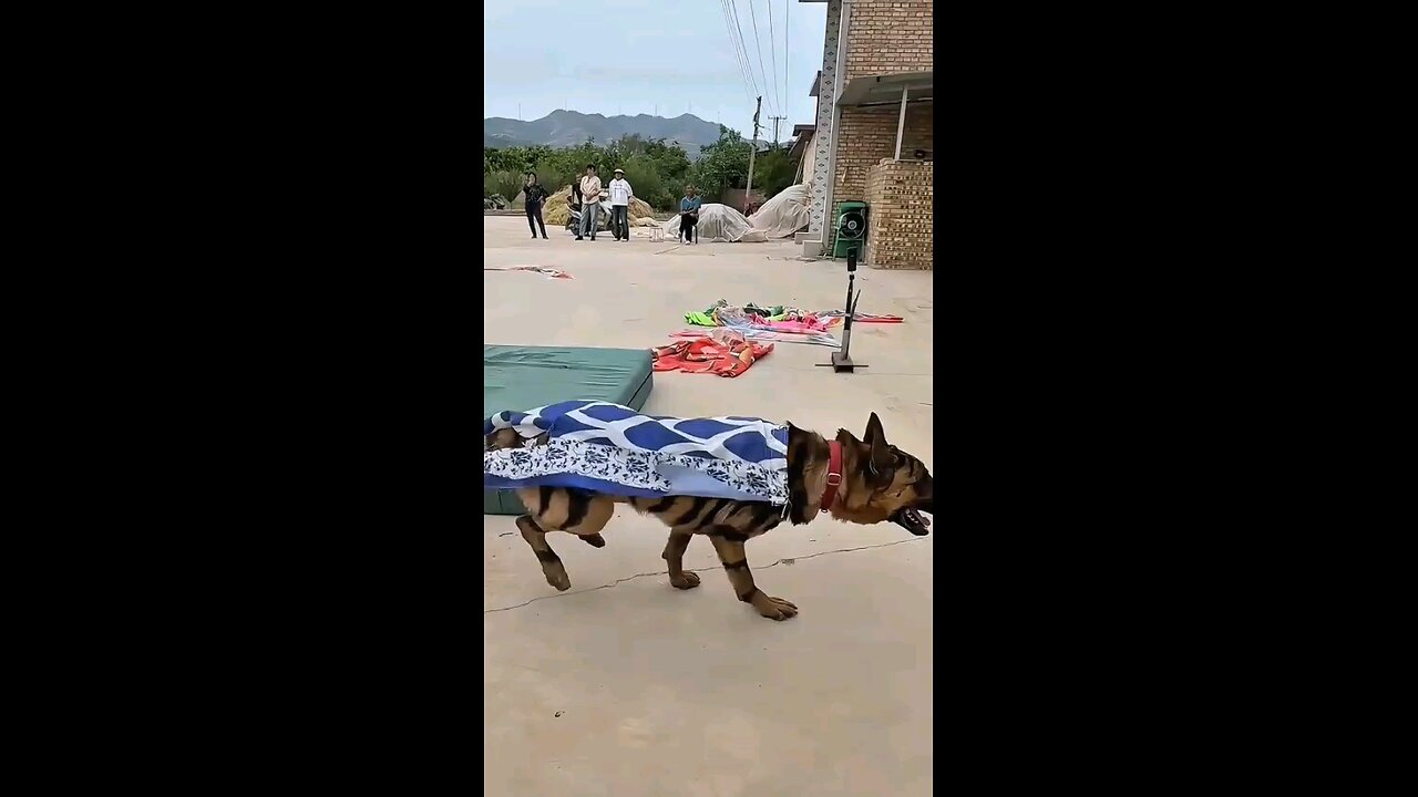 Very strong dog