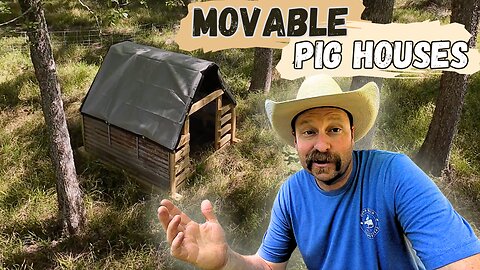Building "Pig Cottages" – Our Movable Pig Shelters for Pastured Pork!