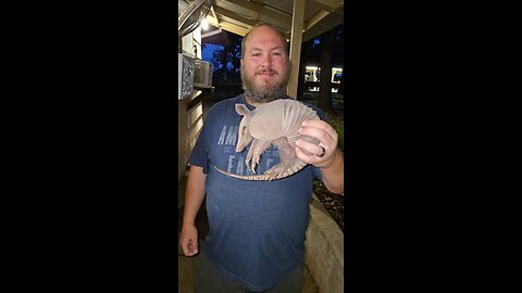 Juvenile armadillo I caught last night