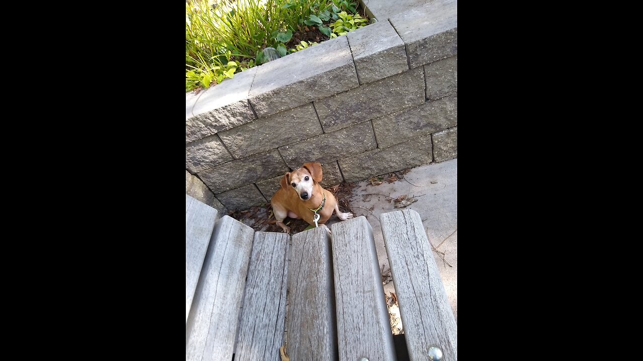 144th Weenie Stream