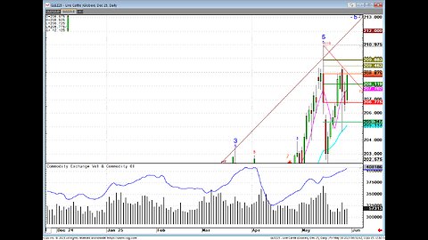 MAY30 Early Futures, Cattle Olive Sells Skip3mins @225m-dead zone