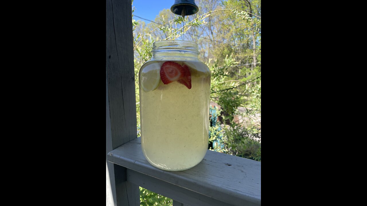 Homemade Lemonade