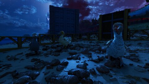 Check out my Dodo Coup. [Ark: Survival Ascended] [Single-Player]