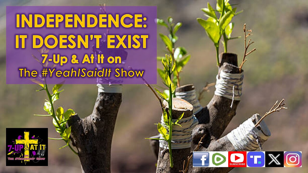 WORD OF THE DAY: ROMANS 11:18 - INDEPENDENCE: IT DOESN'T EXIST