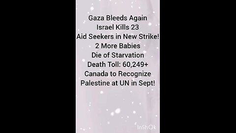 Gaza Bleeds Again