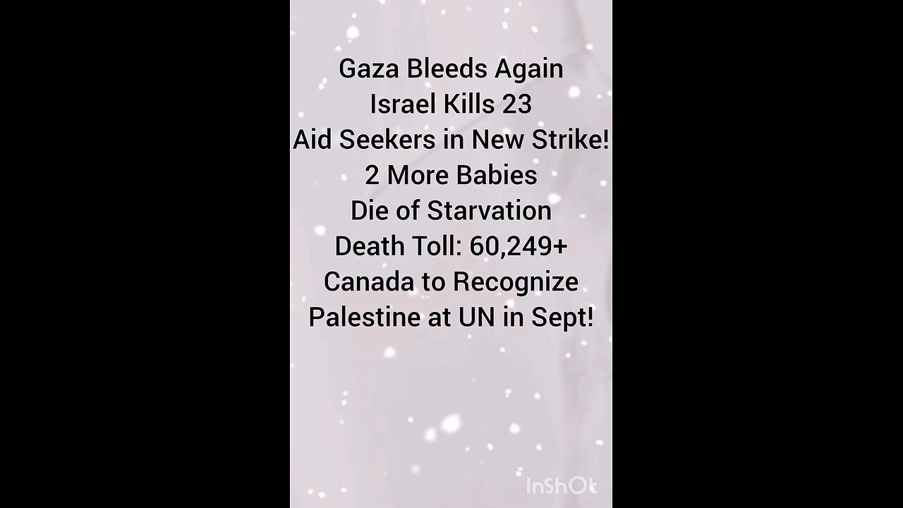 Gaza Bleeds Again