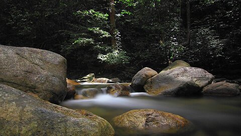 Peaceful White Noise (Black Screen) | Gentle Sound for Sleep, Study, and Calm