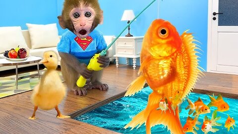 Now Bonmonkeykiki fishing||monkey Kiki animalht video|| rumble Animalht video