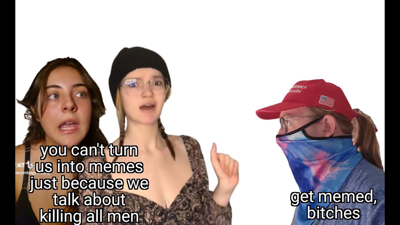 TikTok radfems harass me (so I turned them into memes)