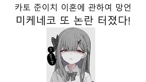 카토 준이치 이혼에 관련된 트윗 썼다가 논란 터진 미케네코(우루하 루시아)