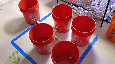 DIY DWC home grown