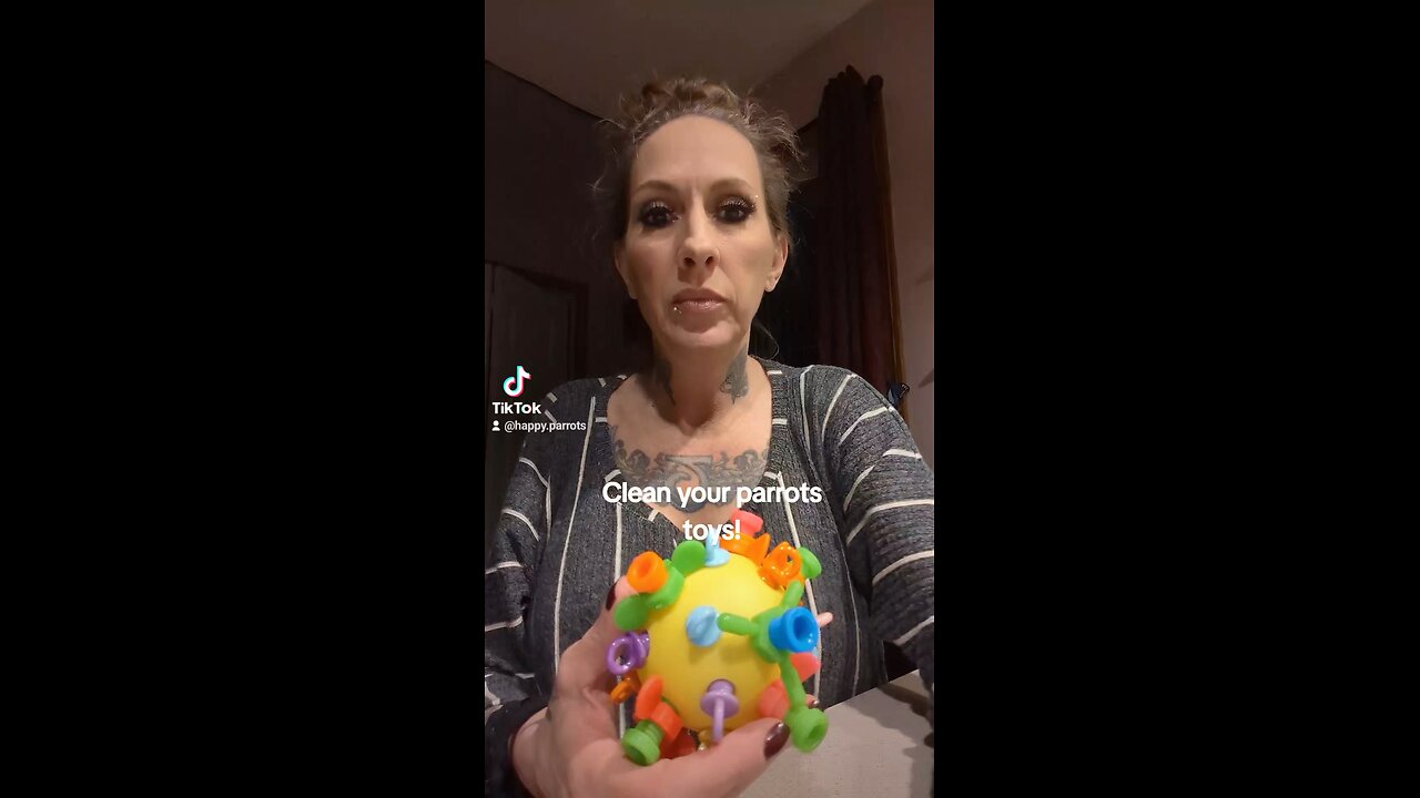 Always Clean Your Parrot Toys