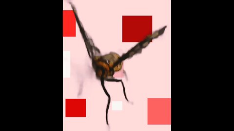 One Last Death Dance, To Exist No More & Perish.