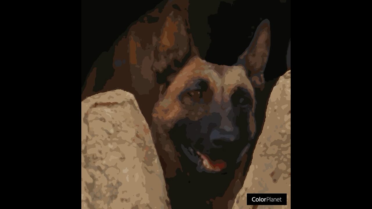 Dogmeat from the show Fallout