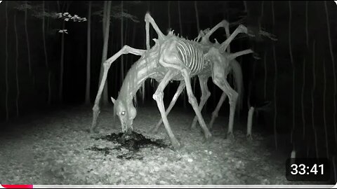 21 Creepiest Things Caught On Trail Cameras