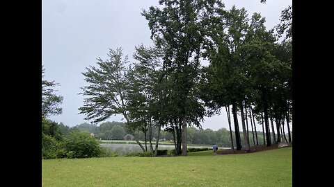 < 10' from the bank under the tree canopies in the sticks